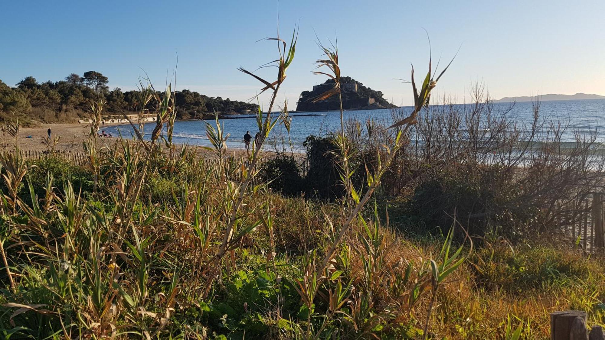 Rez De Jardin T3 Recent Et Calme Au Nouvelles Terres A La Londe Les Maures Leilighet Eksteriør bilde