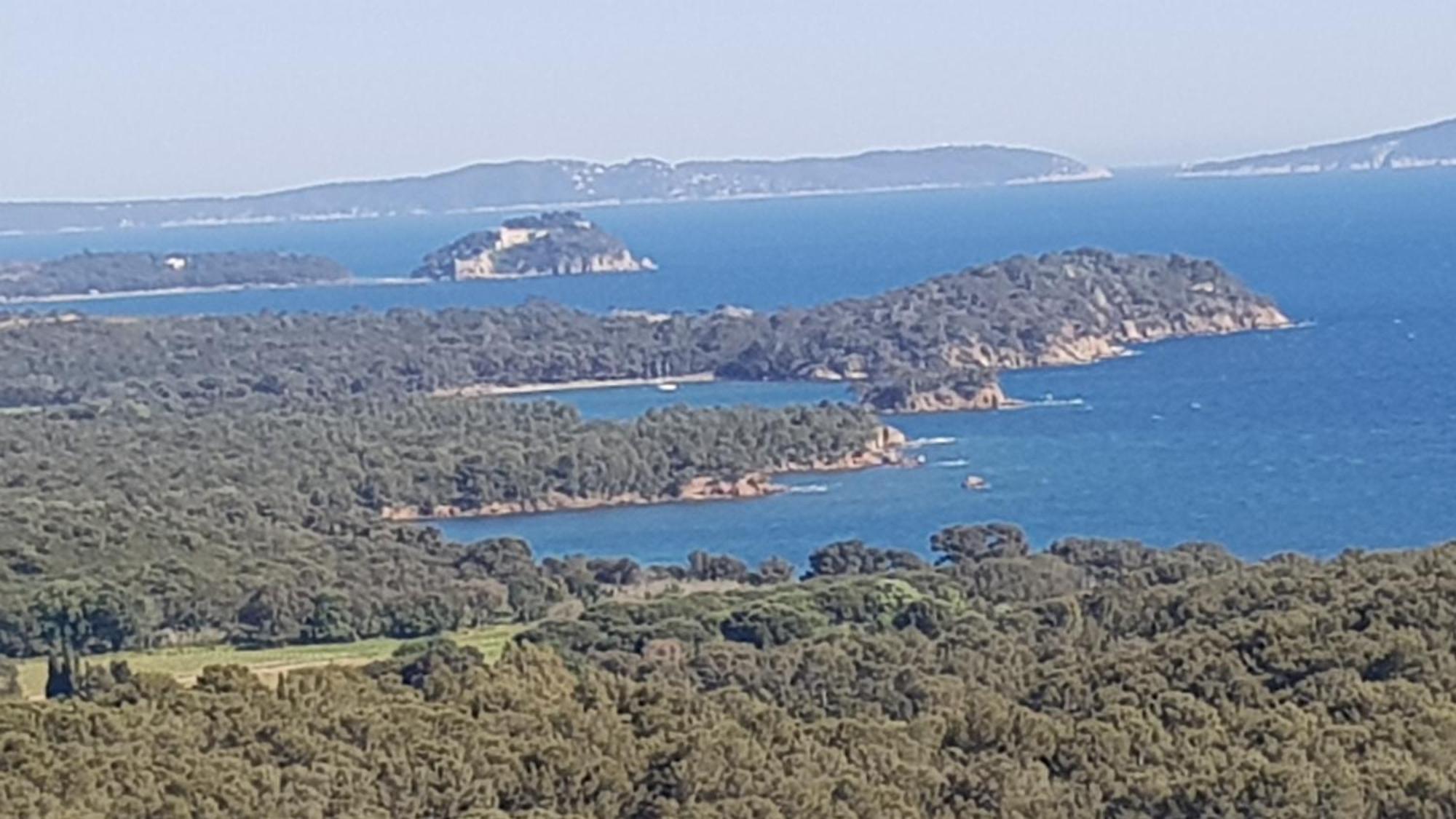 Rez De Jardin T3 Recent Et Calme Au Nouvelles Terres A La Londe Les Maures Leilighet Eksteriør bilde