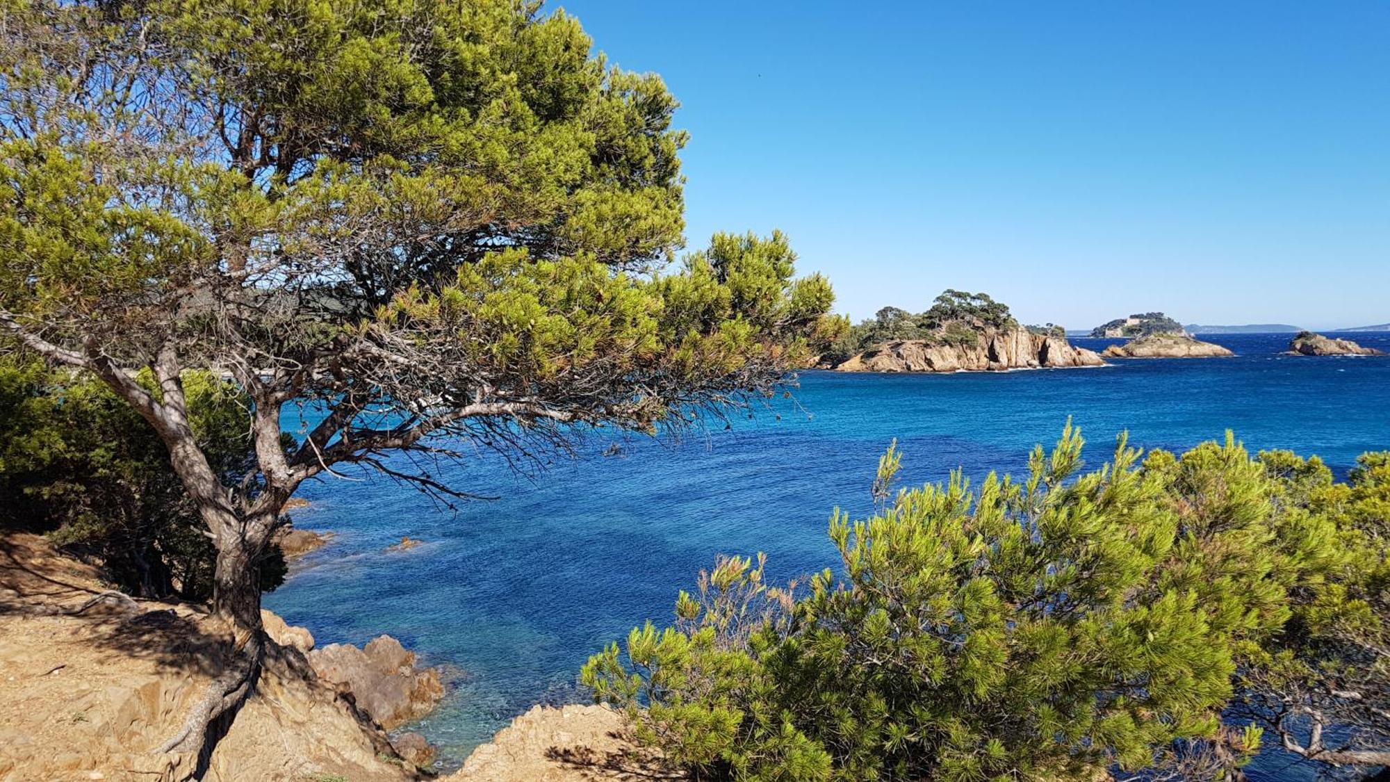 Rez De Jardin T3 Recent Et Calme Au Nouvelles Terres A La Londe Les Maures Leilighet Eksteriør bilde