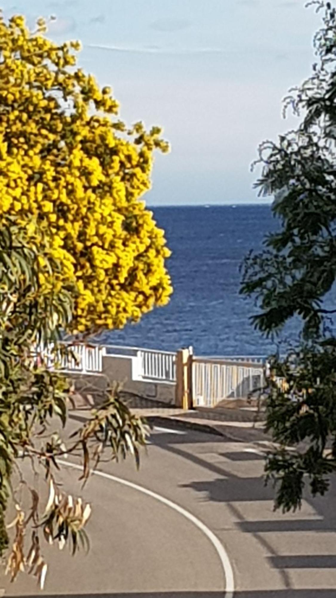 Rez De Jardin T3 Recent Et Calme Au Nouvelles Terres A La Londe Les Maures Leilighet Eksteriør bilde