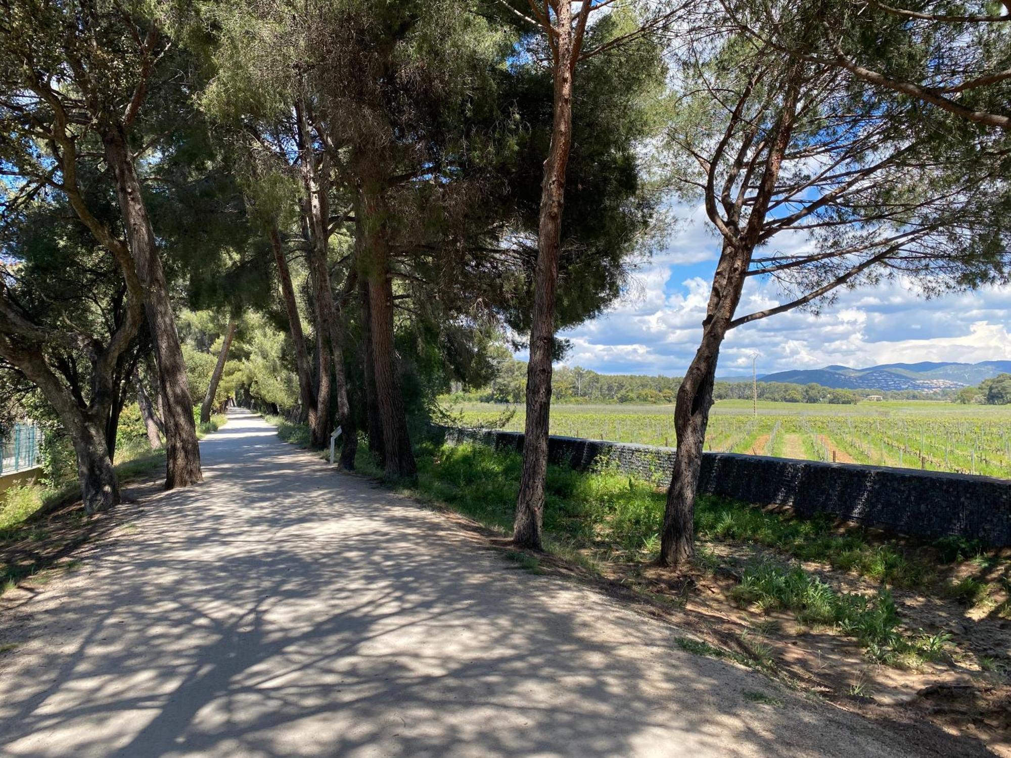 Rez De Jardin T3 Recent Et Calme Au Nouvelles Terres A La Londe Les Maures Leilighet Eksteriør bilde