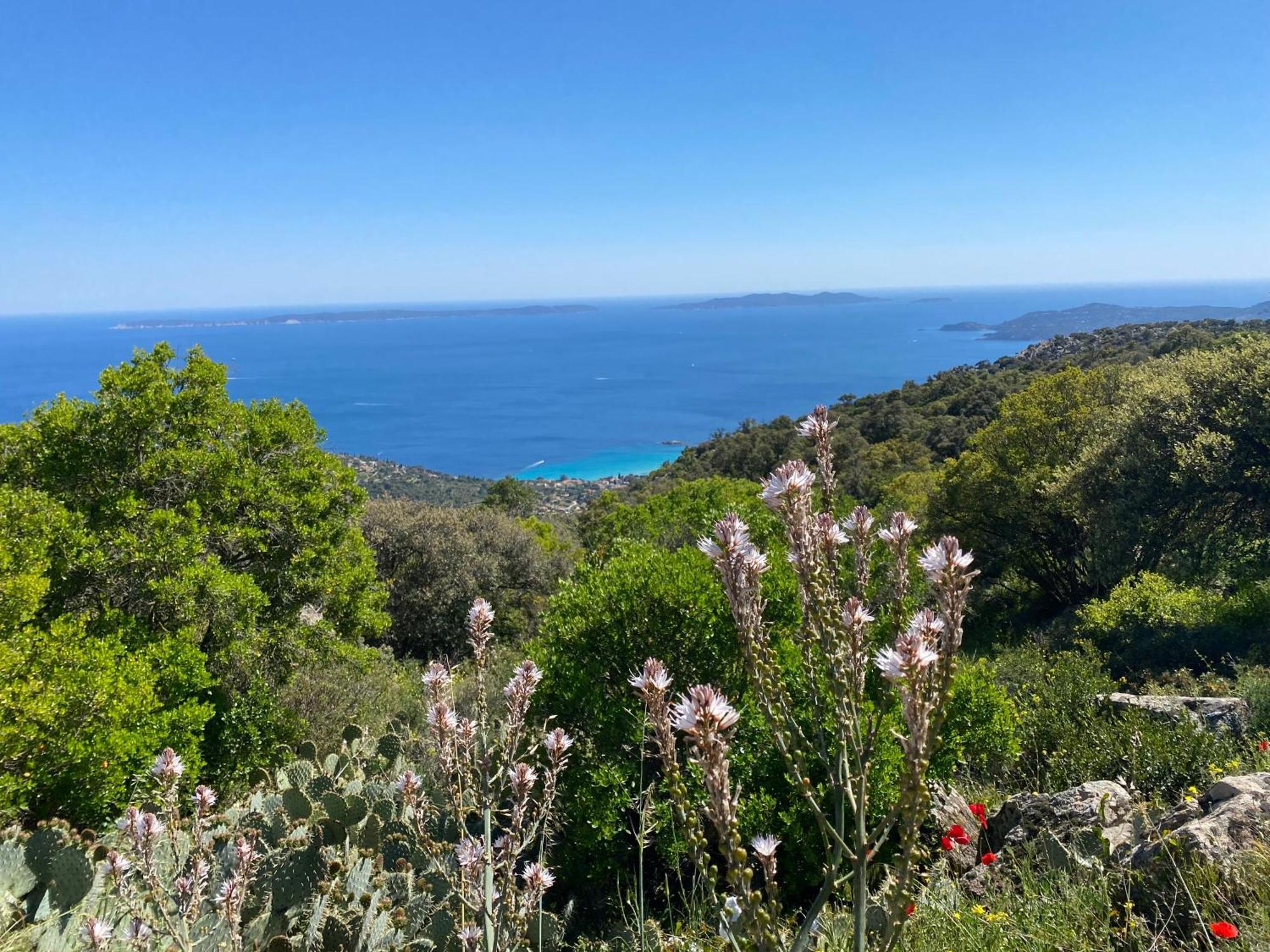 Rez De Jardin T3 Recent Et Calme Au Nouvelles Terres A La Londe Les Maures Leilighet Eksteriør bilde